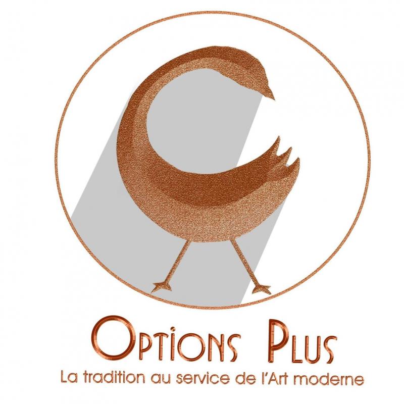 OPTION PLUS