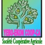 SOCIETE COOPERATIVE AGRICOLE YEBO-EKON